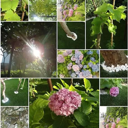 Pavlic Appartamento *