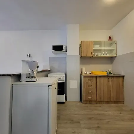 Apartment Pavlic