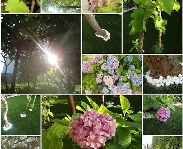 Pavlic Apartamento *